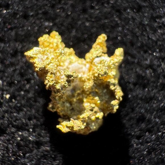 California Native Gold Crystal - 0.70 grams - Picture 1 of 3